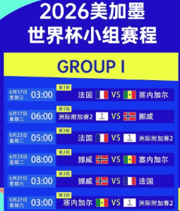 世界杯热身赛新闻图片